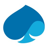 Logo Capgemini Engineering